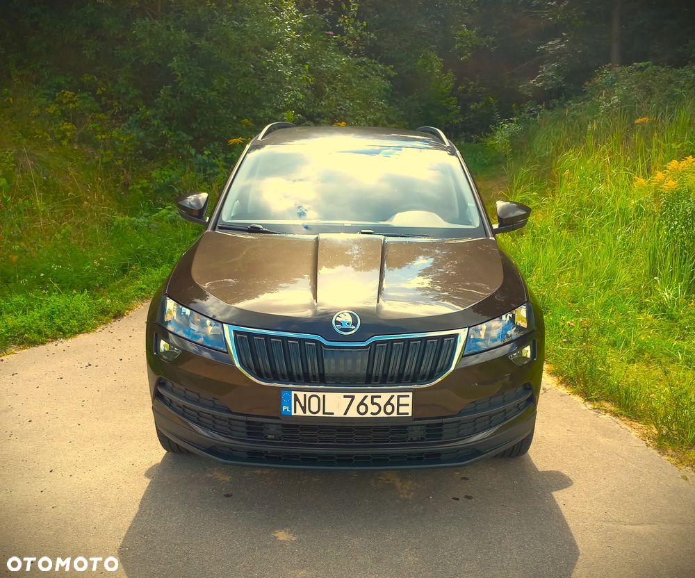Skoda Karoq 2.0 TDI SCR 4x4 Ambition DSG - 6