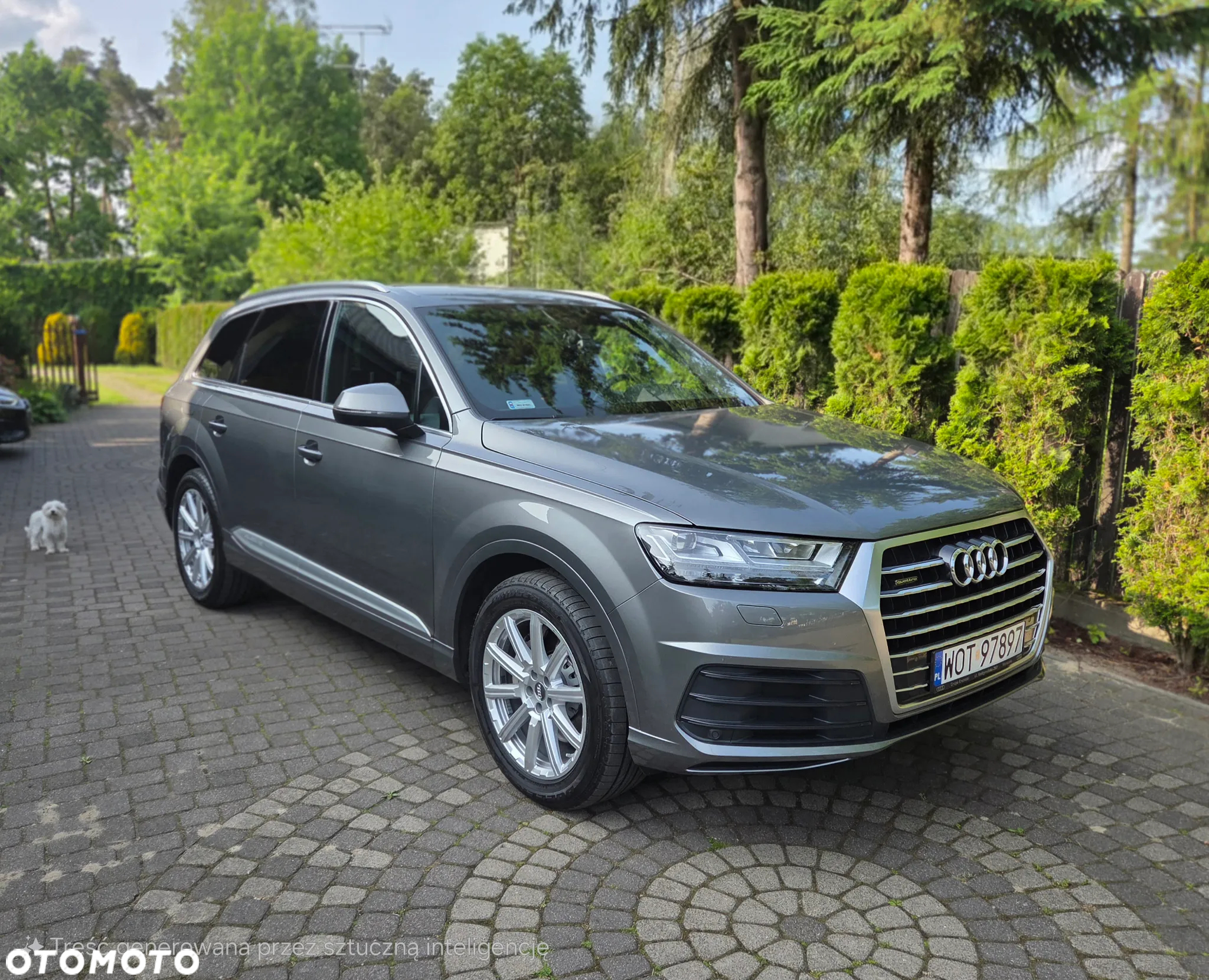 Audi Q7 - 3