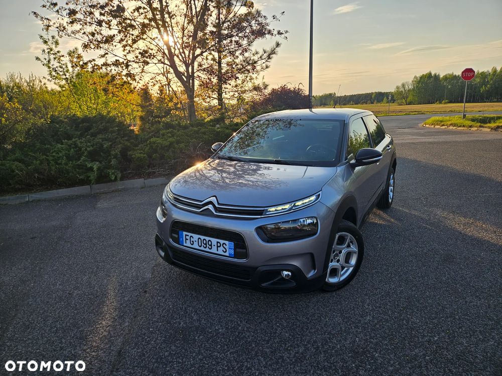 Citroën C4 Cactus 1.5 BlueHDi Shine Pack - 8