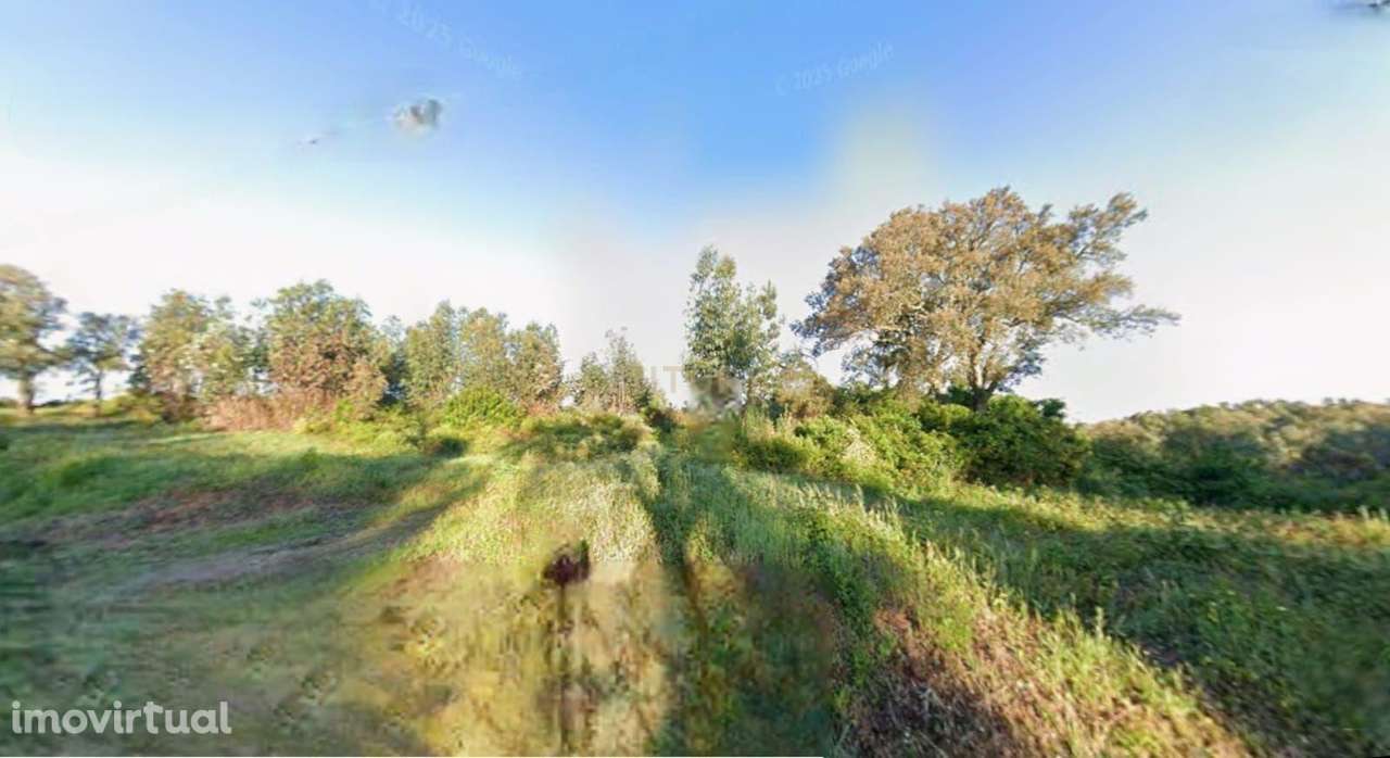TERRENO RUSTICO 21 360M2 - SANTAREM - Grande imagem: 4/7