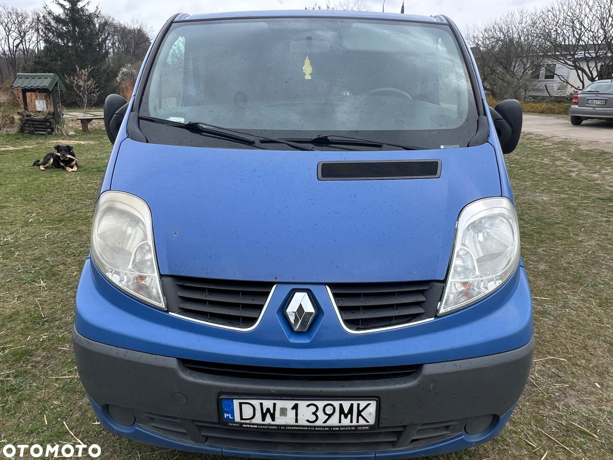 Renault Trafic dCi Passenger - 17