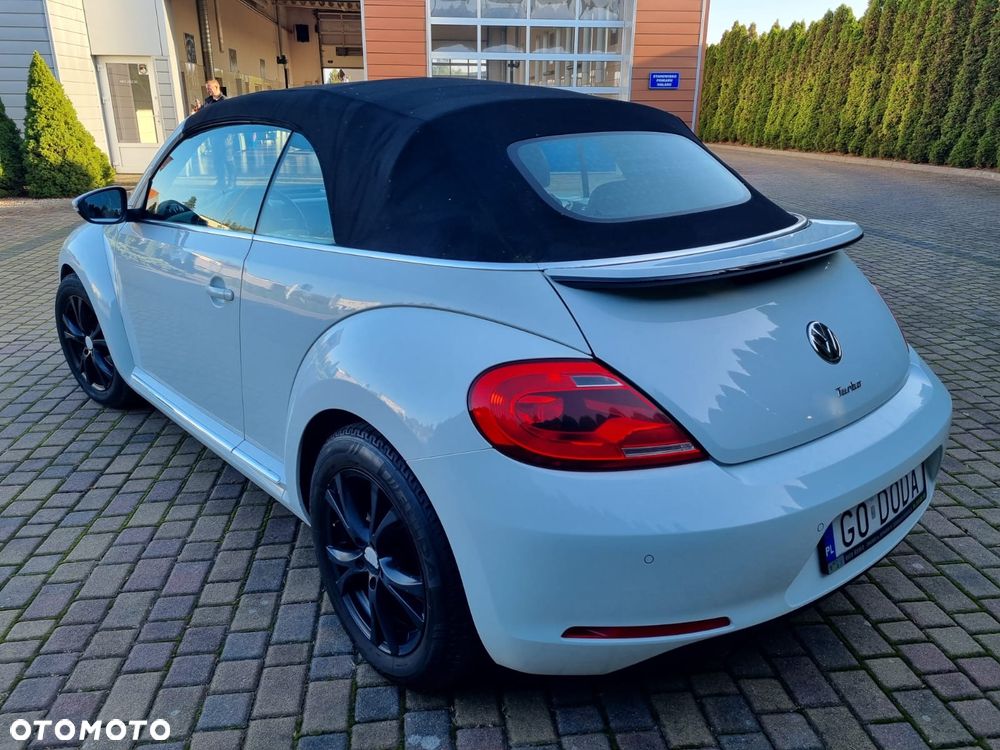 Volkswagen Beetle - 5