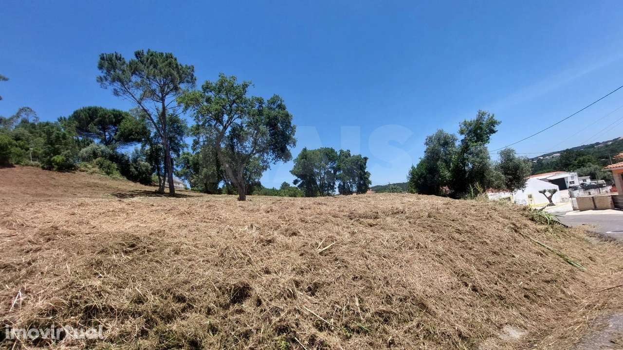 Terreno para construção de Moradias - Grande imagem: 4/4