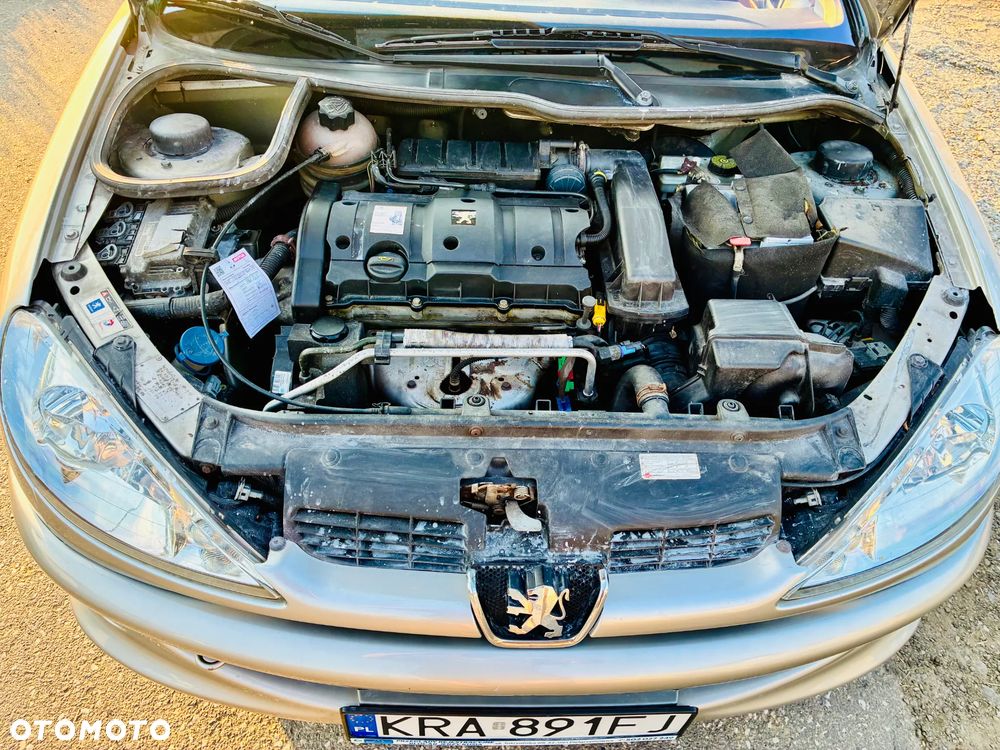 Peugeot 206 CC 110 Roland Garros - 13