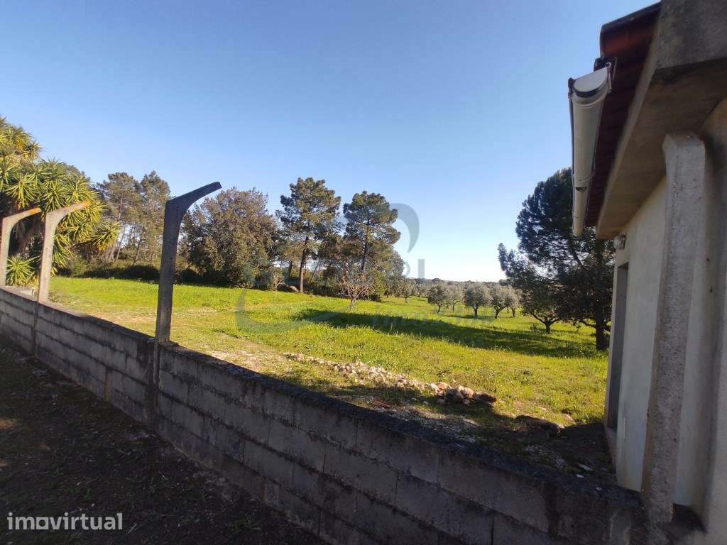 Refúgio natural com 6.985 m², eletricidade, poço e múltiplas possib... - Grande imagem: 2/14