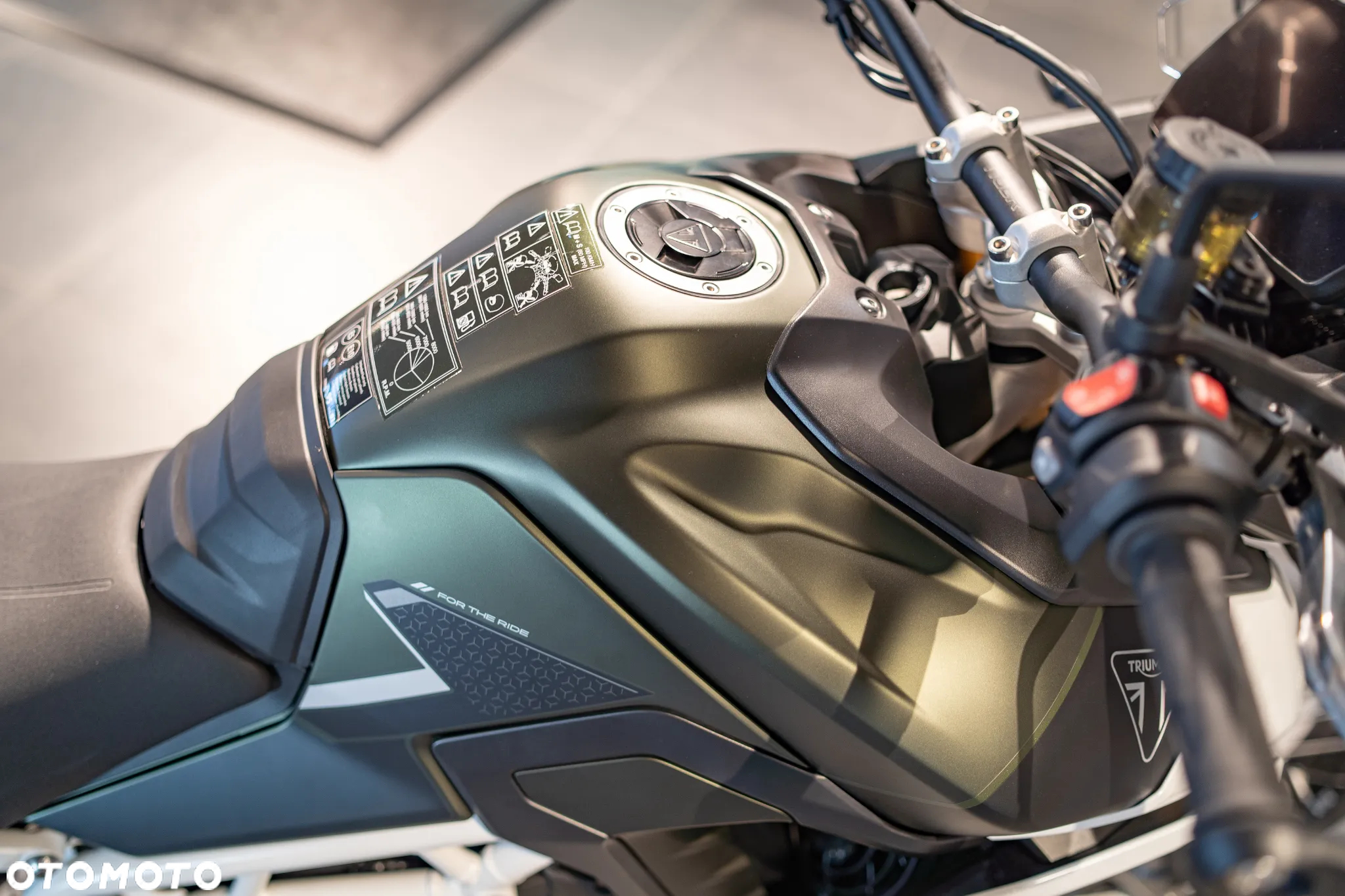 Triumph Tiger - 21