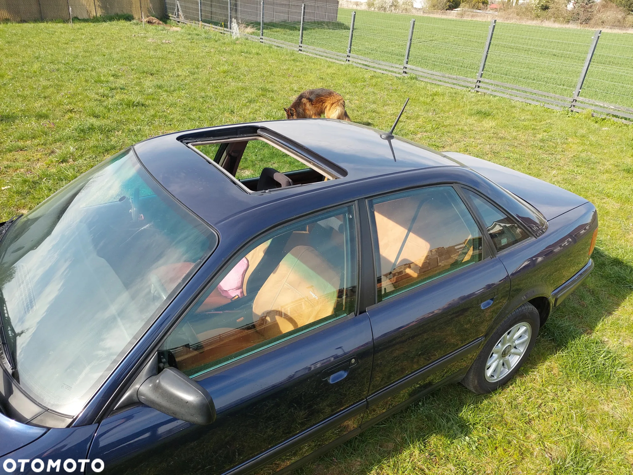 Audi 100 2.6 E - 4