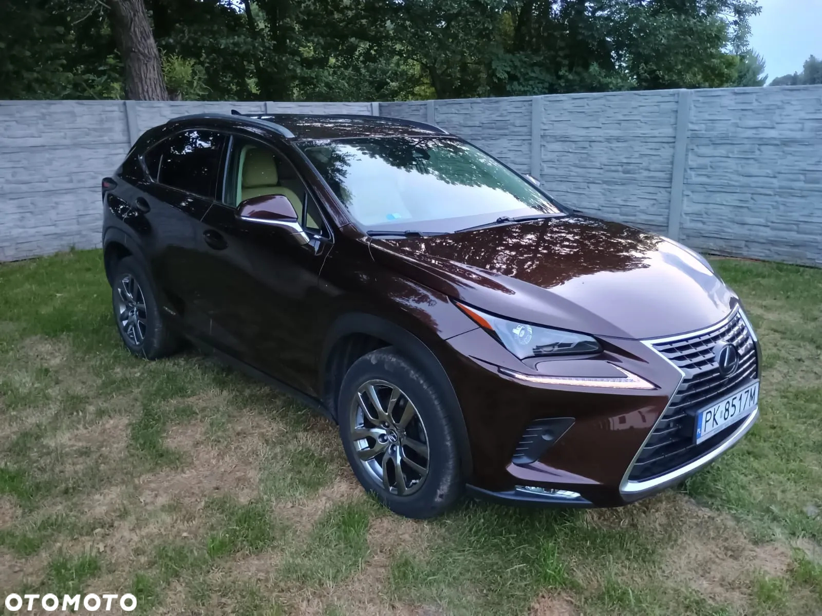 Lexus NX 300h Elegance AWD - 10