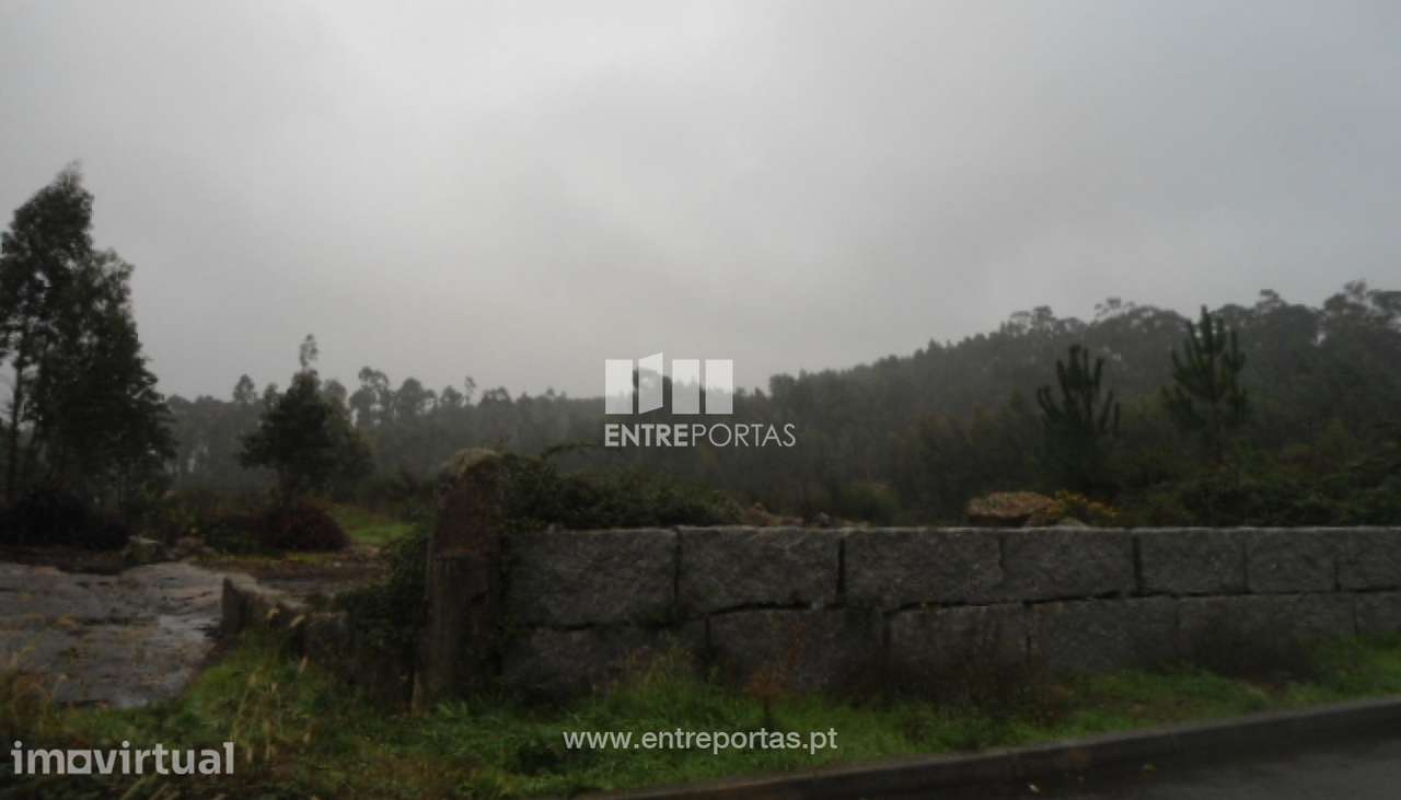 Venda Terreno, Croca, Penafiel - Grande imagem: 5/10