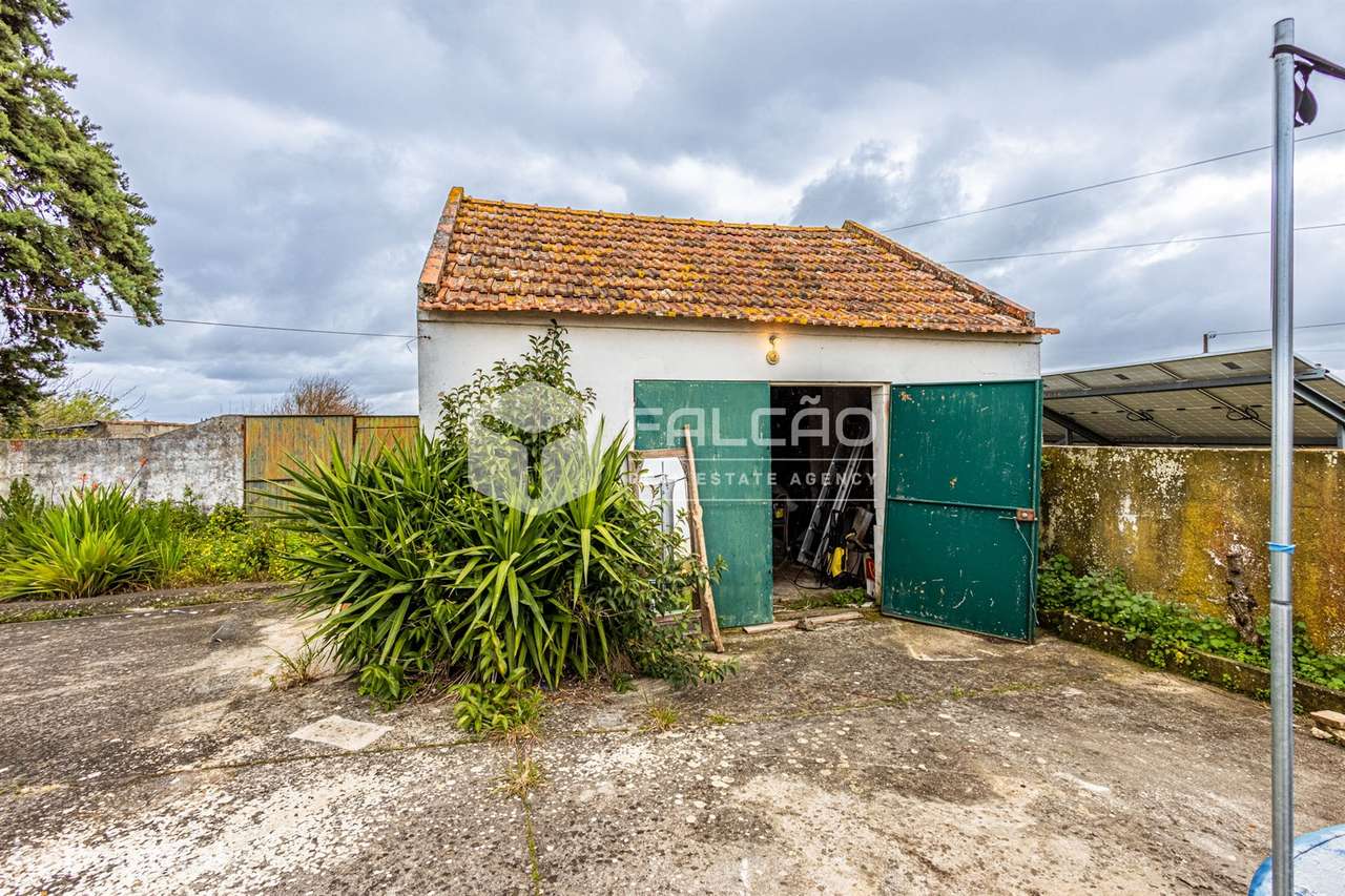 Moradia T3 Venda em Póvoa da Isenta,Santarém - Grande imagem: 5/52