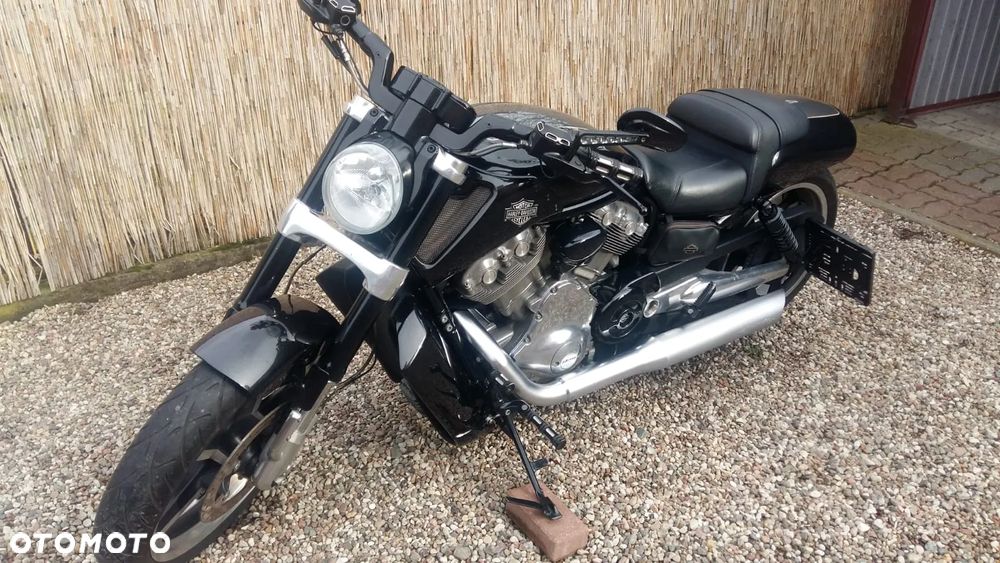 Harley-Davidson V-Rod Muscle - 1