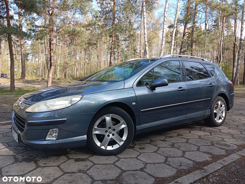 Peugeot 407 - 5