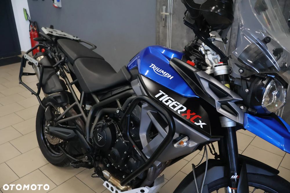Triumph Tiger - 16