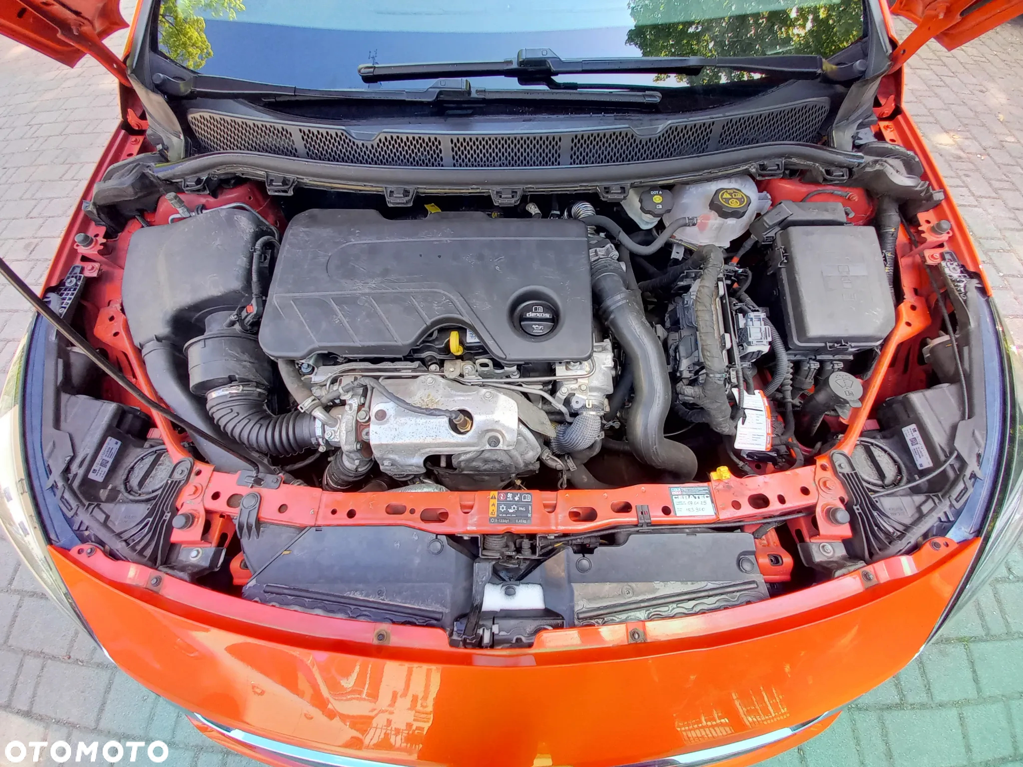 Opel Astra V 1.6 CDTI Enjoy S&S - 9