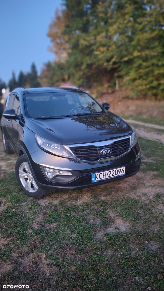 Kia Sportage - 25
