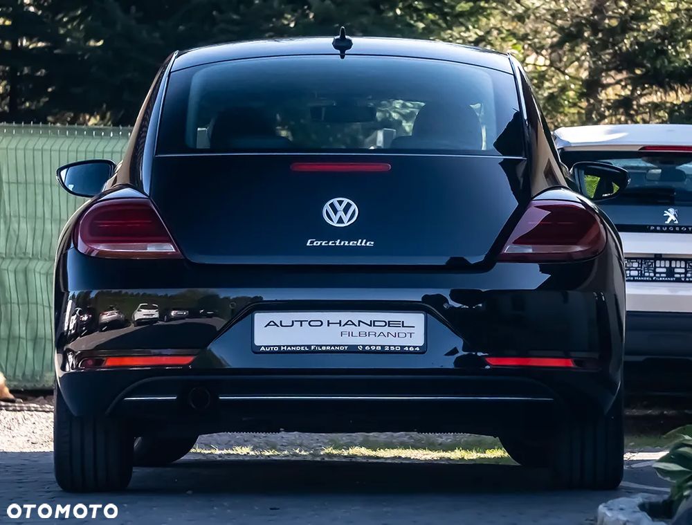 Volkswagen Beetle - 19