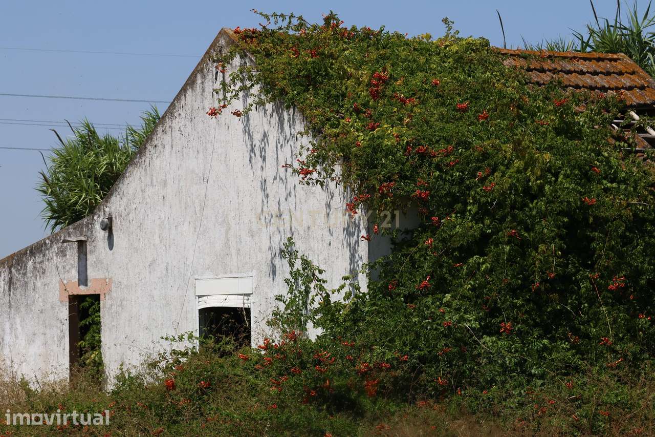 Terreno com casa para recuperação - Grande imagem: 5/27