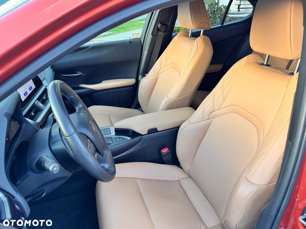 Lexus UX 250h F Sport 2WD - 14