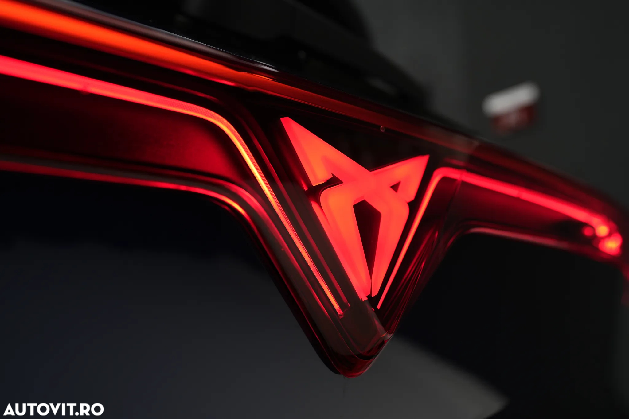 Cupra Terramar - 34