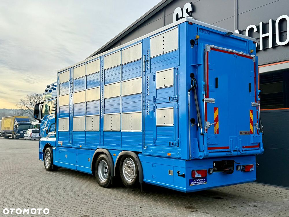 MAN TGX 26.540 // E6 // Zabudowa PEZZAIOLI // 3 poziomy hydraulika, podnoszony dach, rampa hydrauliczna // do żywca, do bydła, do transportu zwierząt - 10