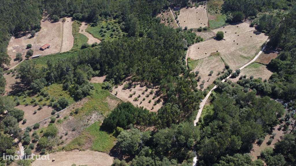 Venda Terreno - Grande imagem: 2/16