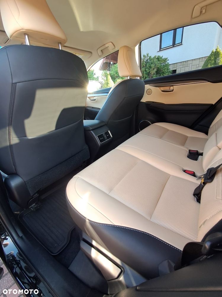 Lexus NX - 26