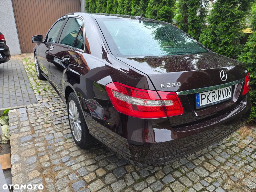 Mercedes-Benz Klasa E 220 CDI BlueEff - 2