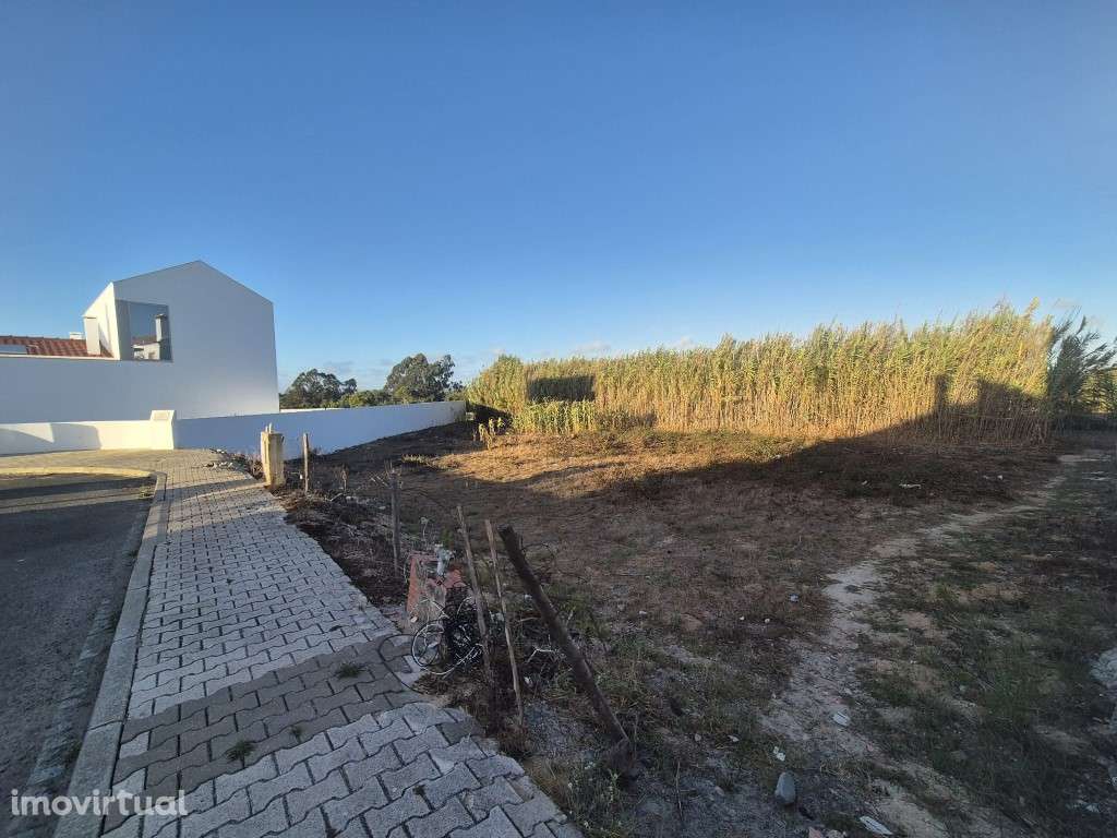 Lote no Almograve - Grande imagem: 3/16