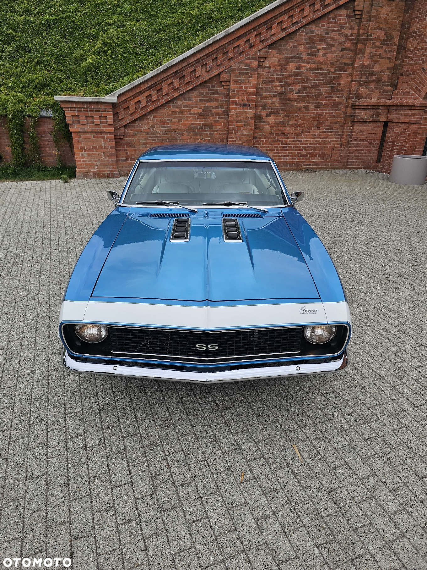 Chevrolet Camaro - 10