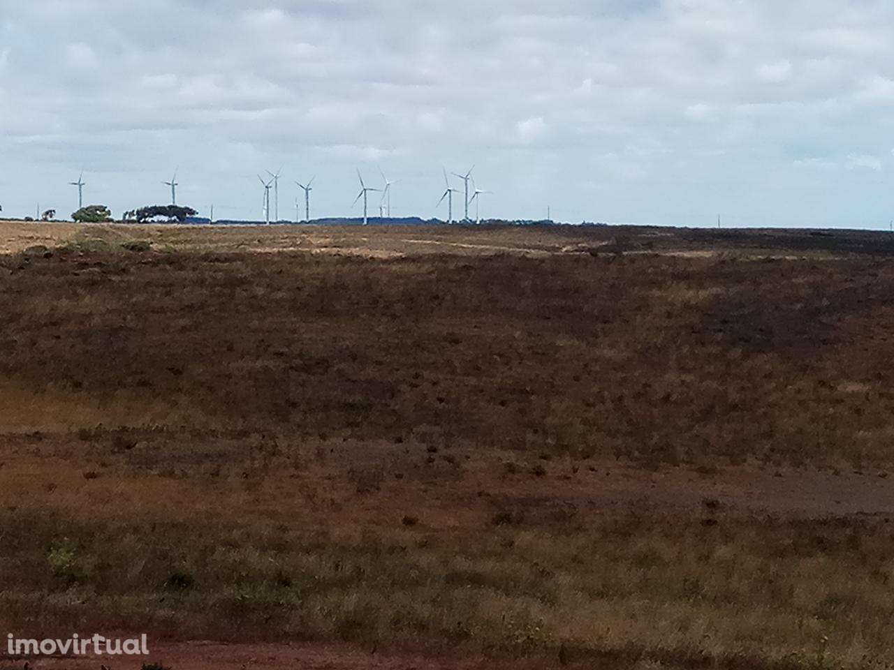 Terreno Rústico Currais Velhos - Vila do Bispo _ 664Lagos V13 - Grande imagem: 4/29