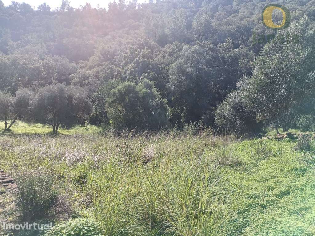 Terreno Venda Loulé - Grande imagem: 5/10
