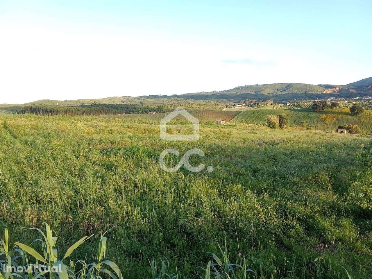 Terreno rústico para venda, em Cadaval. - Grande imagem: 2/8
