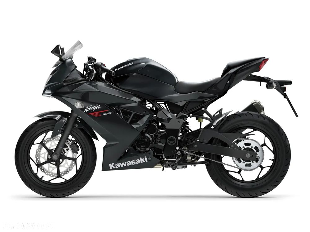 Kawasaki Ninja - 3