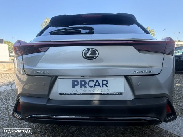 Lexus UX 250h - 38