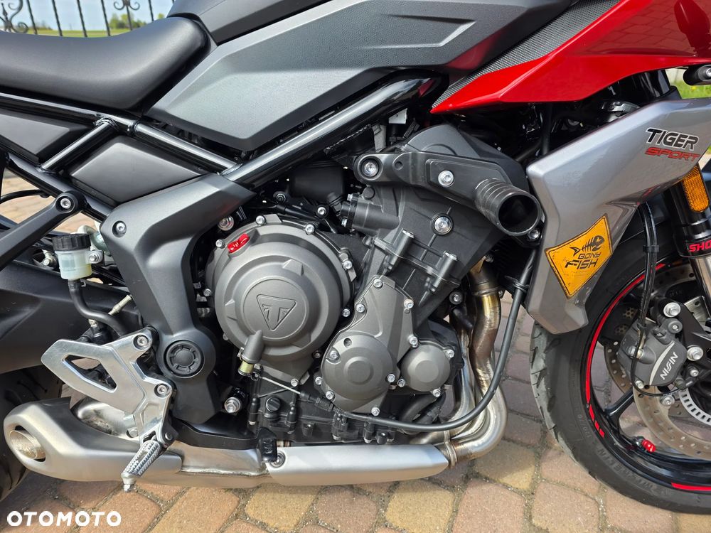 Triumph Tiger - 38