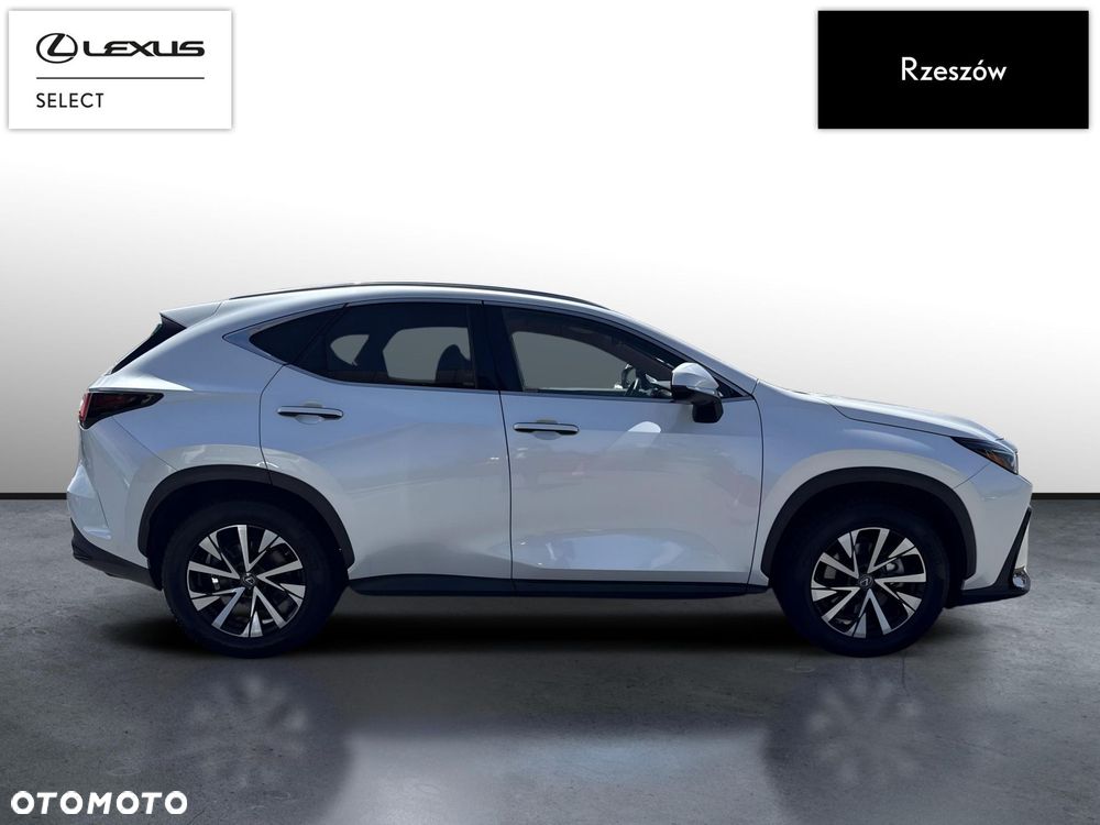 Lexus NX - 6