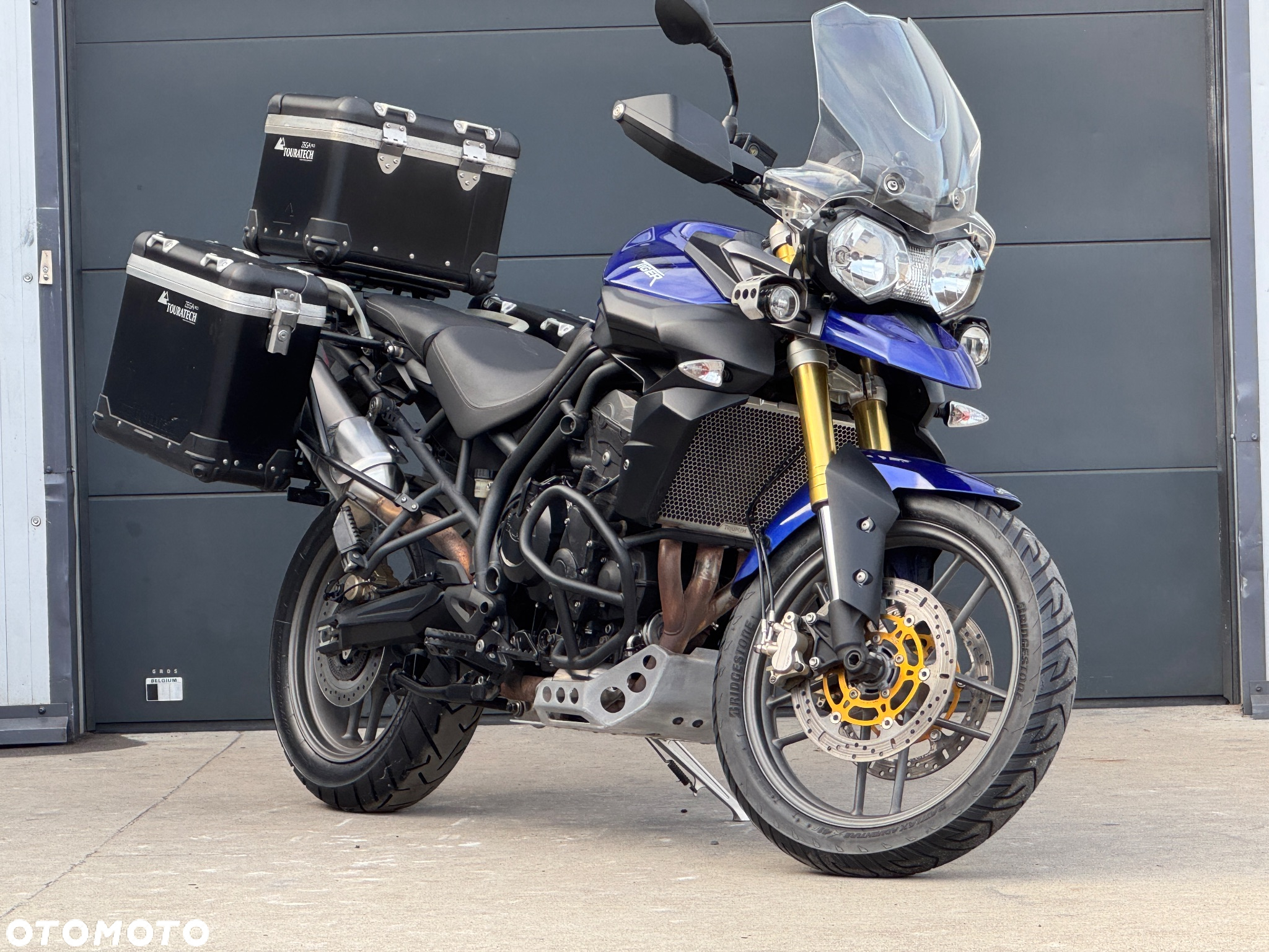 Triumph Tiger - 37
