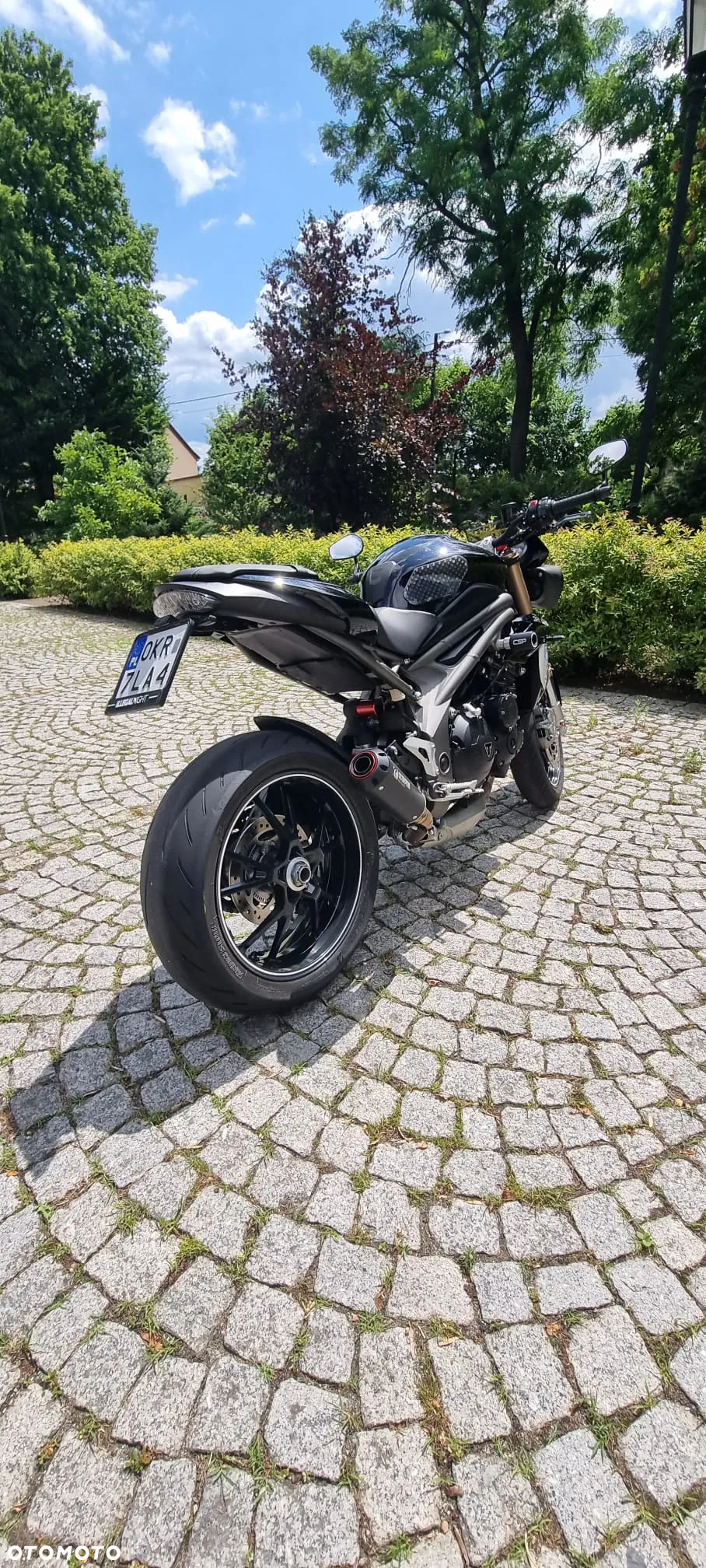 Triumph Speed Triple - 7