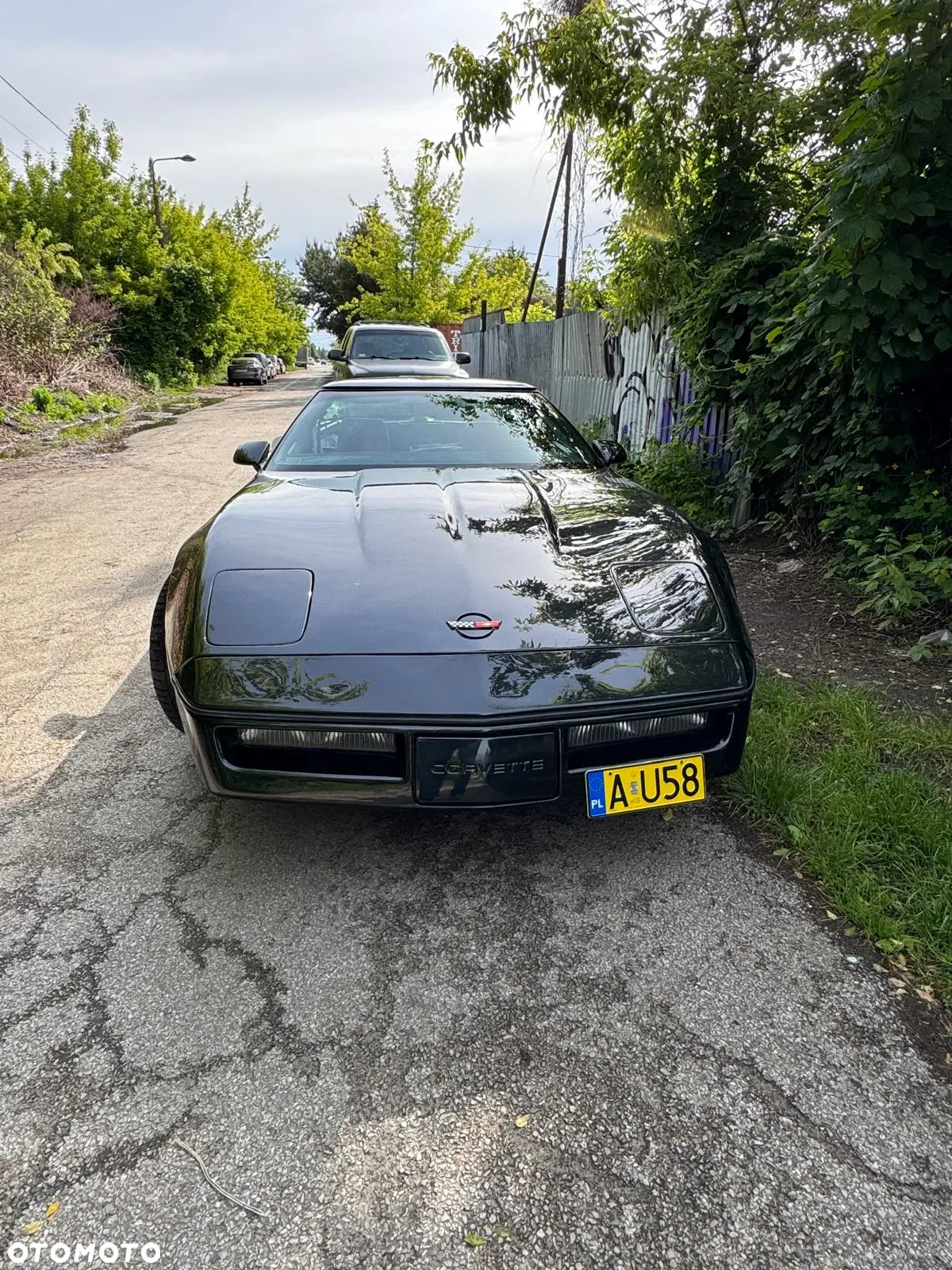 Chevrolet Corvette 5.7 - 4