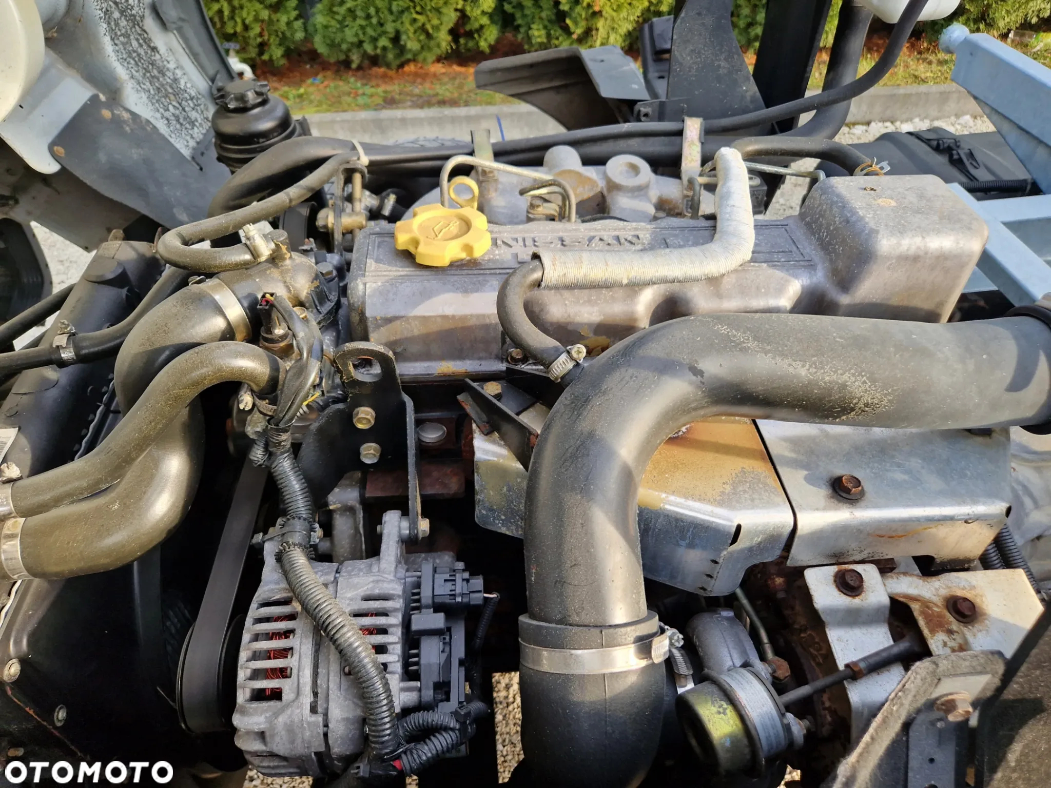 Nissan Cabstar 3.0 - 19