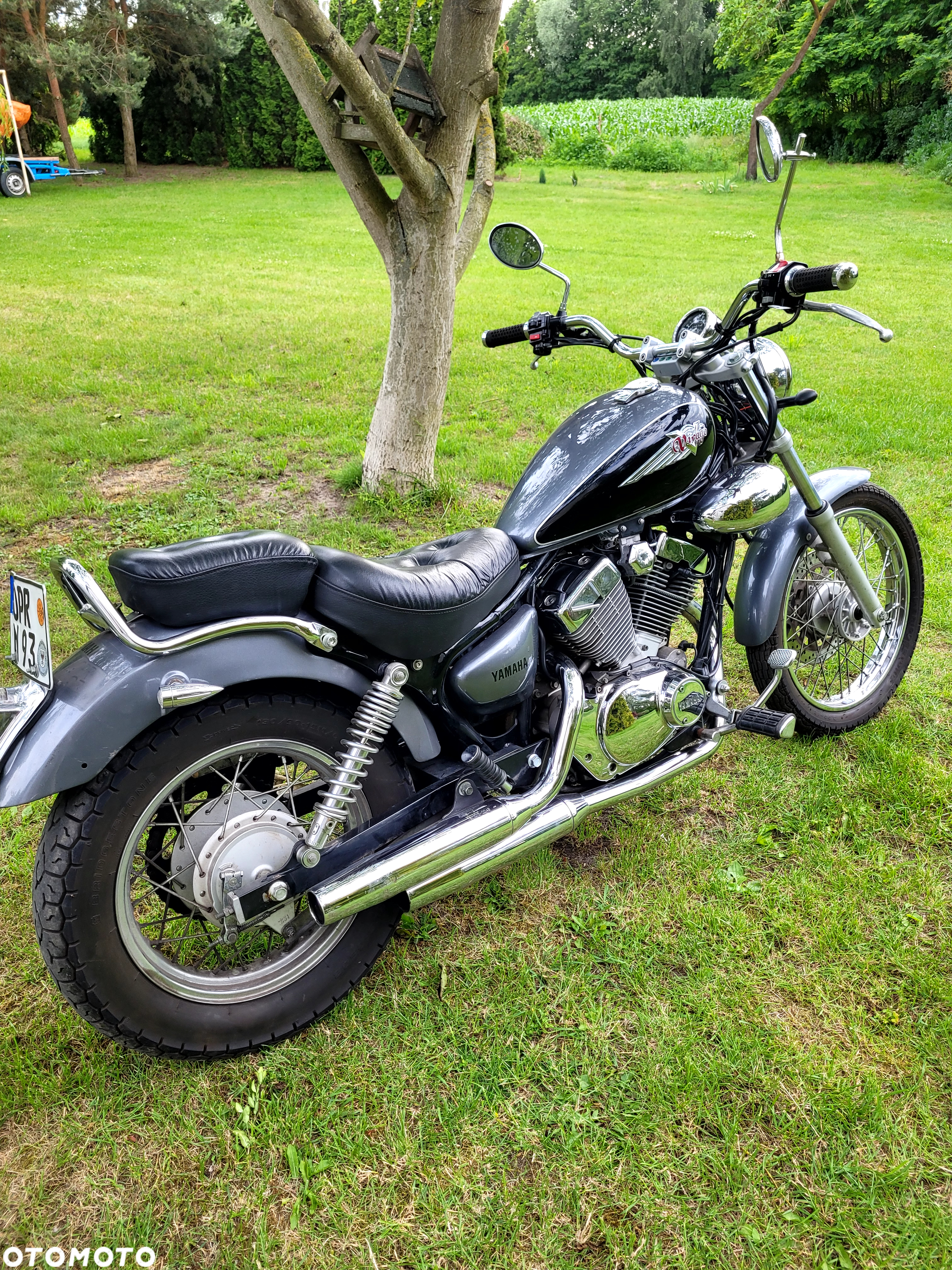 Yamaha Virago - 5