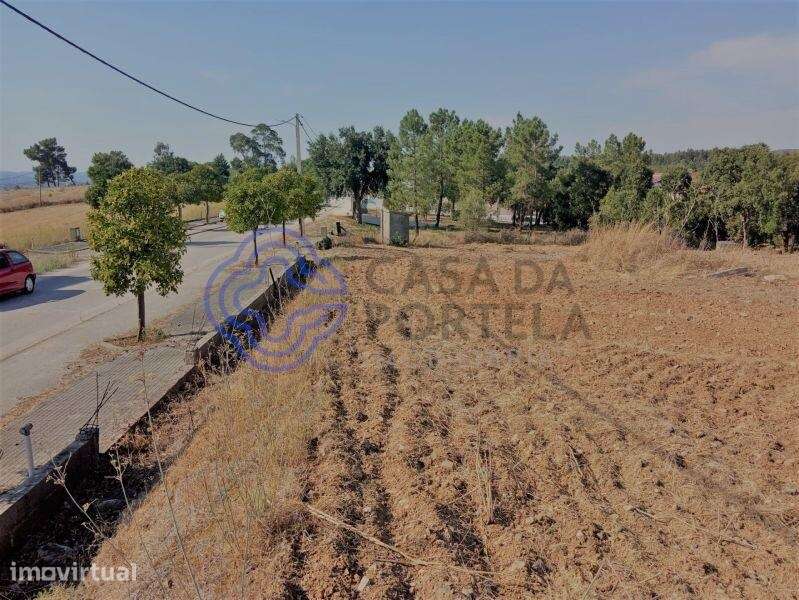 Terreno com 7.050m2 para a construção até 4 moradias, perto de Tomar n - Grande imagem: 3/31