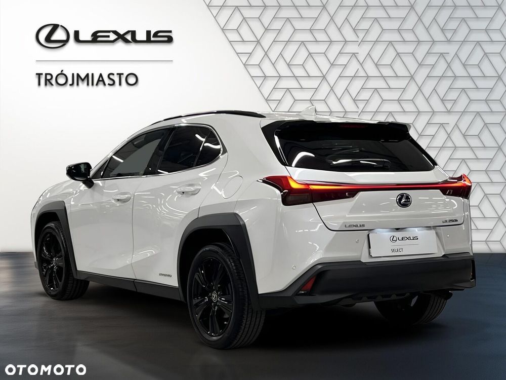 Lexus Ux 2022 photo 3