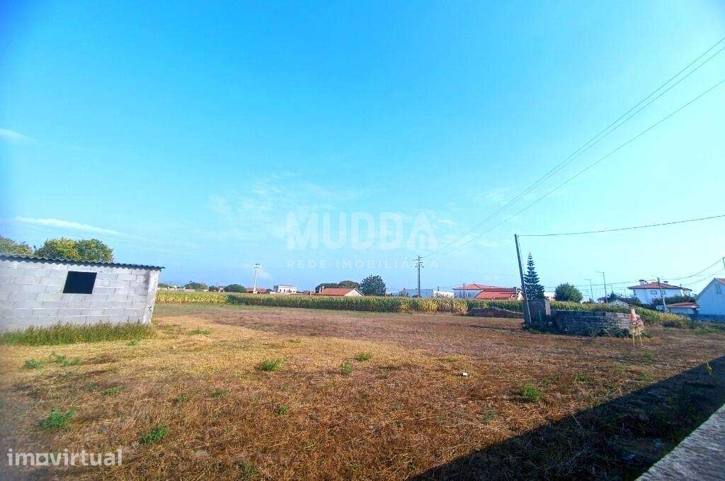 TERRENO PARA CONSTRUÇÃO DE PRÉDIO | PARDILHÓ | ESTARREJA - Grande imagem: 2/7