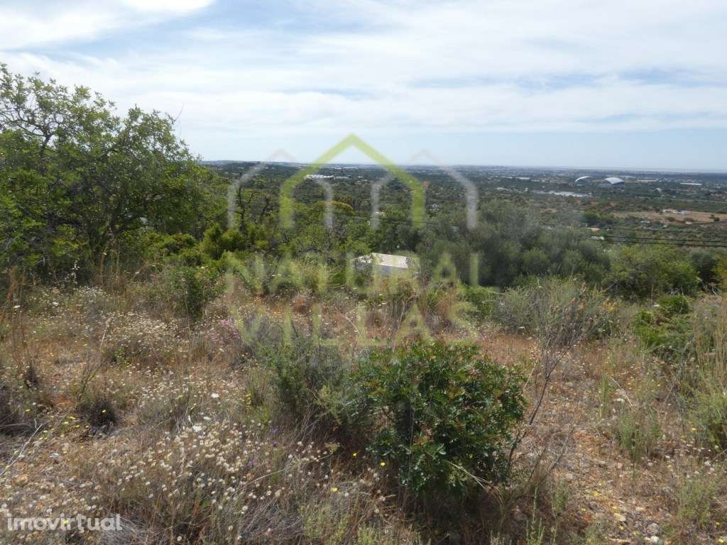 Terreno com Vista Mar Panorâmica em Santa Bárbara de Nexe - Grande imagem: 5/7
