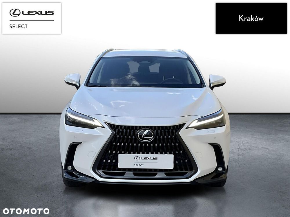 Lexus NX - 8
