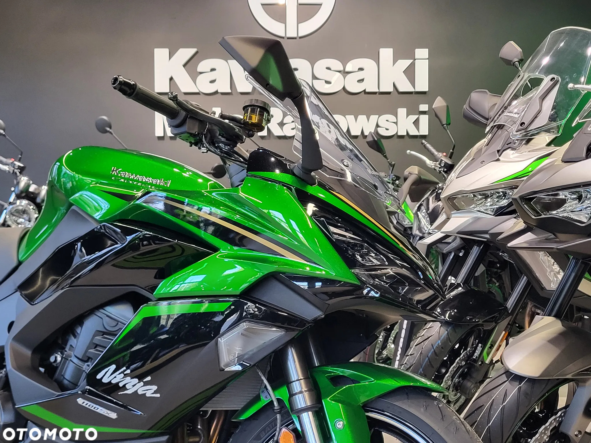 Kawasaki Ninja - 3