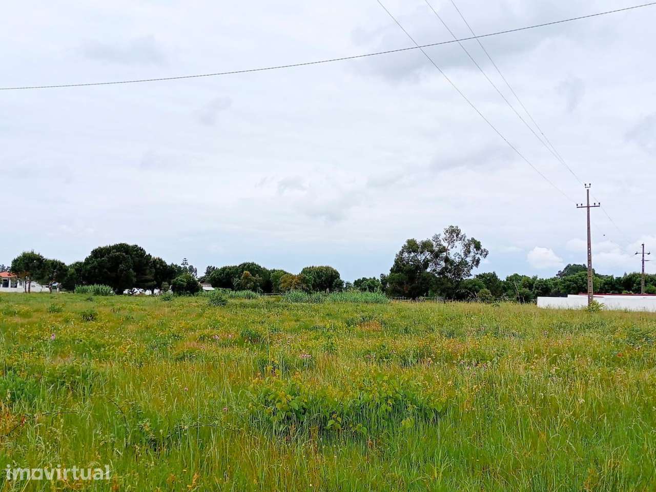 Magnífico terreno com 12.640 m2 - Grande imagem: 4/8