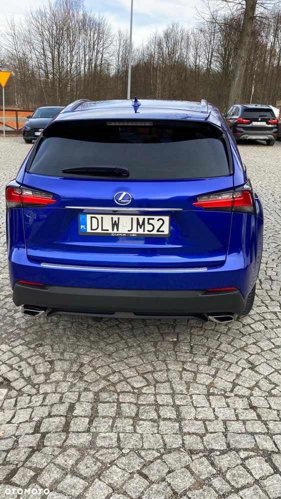 Lexus NX - 5