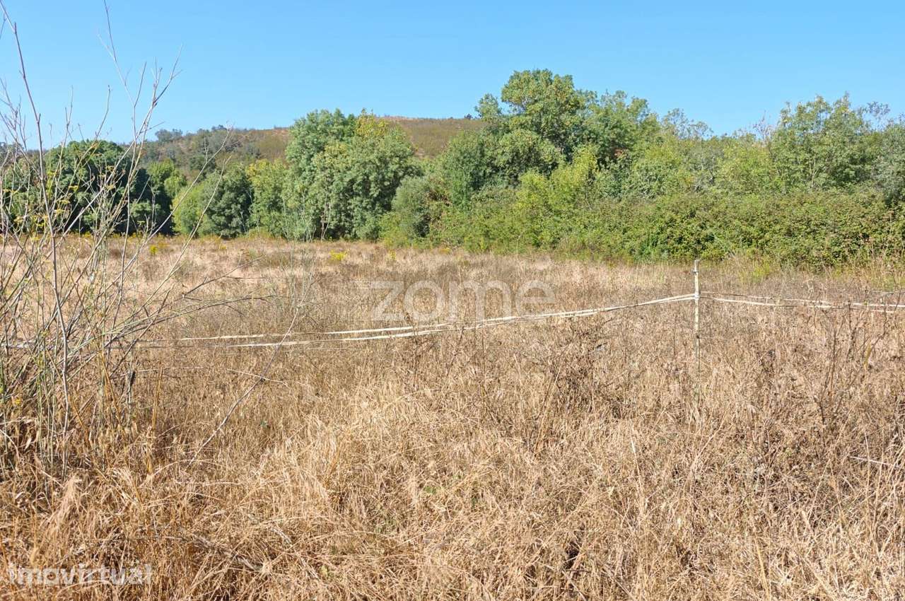 Terreno Rústico c/ 7.440m2 e água, em Corte Peral, São Marcos da Se... - Grande imagem: 3/23